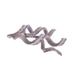 PALM COBRA WHITE WASHED