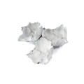 PALM CUP WAX - BIAŁY.jpg