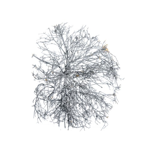 DRY TREE - GREY WASHED.jpg