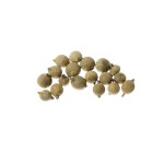 GOURI FRUIT