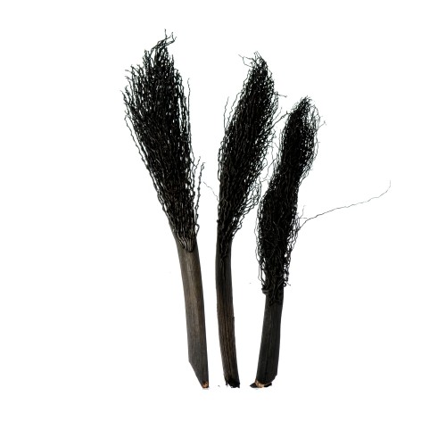 KHAJUR JHAR - BLACK.jpg
