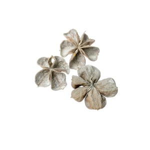 LAND LOTUS WHITE WASHED