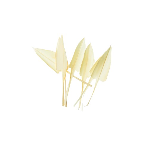 ARROW LEAVE - BLD.jpg