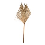 LEQUE LEAF 