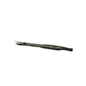 SUN PALM LEAF BLACK