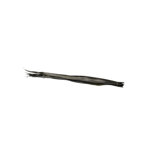 LIŚĆ SUN PALM - BLACK.jpg