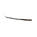 SUN PALM LEAF BROWN