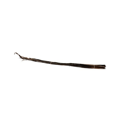 LIŚĆ SUN PALM - LAKIEROWANY.jpg