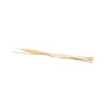 SUN PALM LEAF BLD