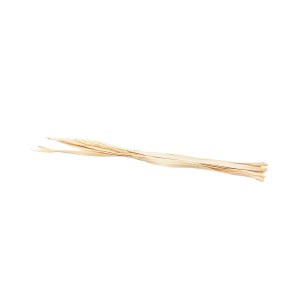 SUN PALM LEAF BLD
