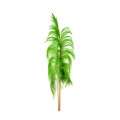 UVA - BRIGHT GREEN.jpg