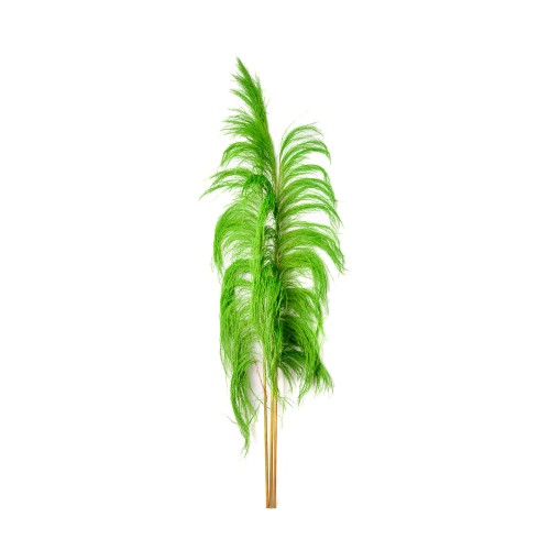 UVA - BRIGHT GREEN.jpg