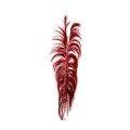 UVA - RED.jpg