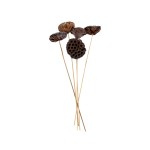 LOTOS LARGE STICK