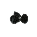 LOTOS  ŚREDNI : MDM - BLACK.jpg