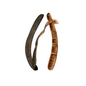 MACHETE STEP FRUIT