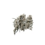 GREY MOSS - WHITE WASHED