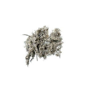 GREY MOSS - WHITE WASHED