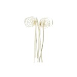 CANE COIL MINI BLD