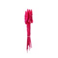MINI CANE CONE - PINK.jpg