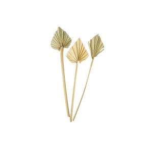 PALM SPEAR MINI 