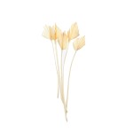 PALM SPEAR MINI BLD