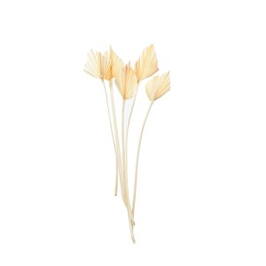 PALM SPEAR MINI BLD