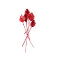 MINI PALM SPEAR - CZERWONY.jpg