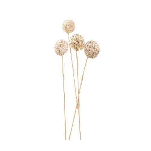 MINTOLA BALL STICK - BLD.jpg