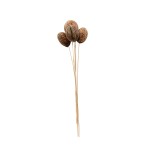 MINTOLA BALL STICK