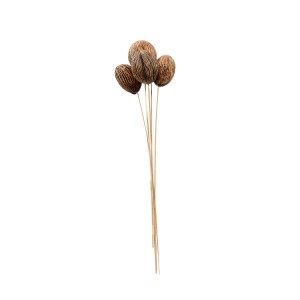 MINTOLA BALL STICK