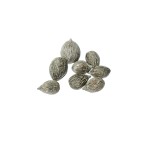 MINTOLA MINI WHITE WASHED