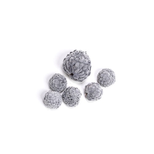 ATA FRUIT - CZARNY FLOK.jpg
