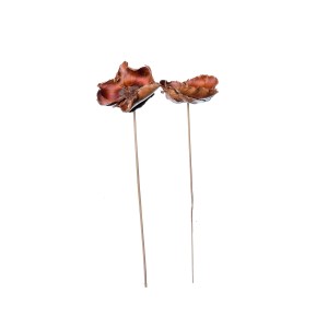 PALM CUP STICK 