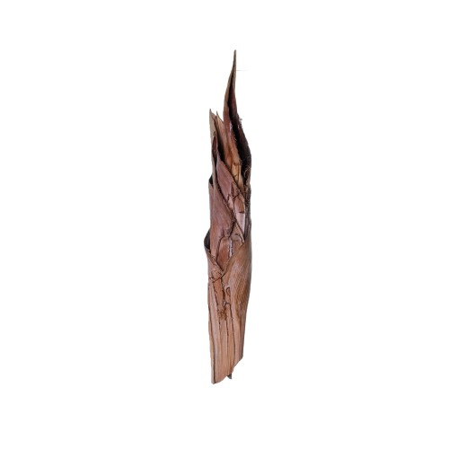 PALM HOLDER.jpg