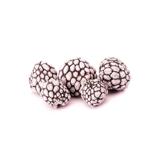 ATA FRUIT - SNOW TIP.jpg