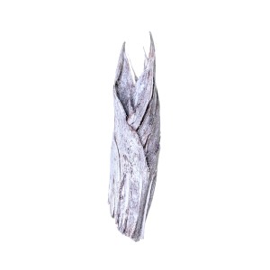 PALM HOLDER WHITE WASHED