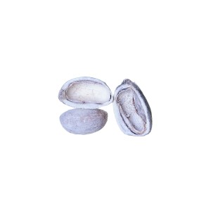 PALM POD BOAT CUT WHITE WASHED