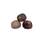 PALM POD ROUND CUT 