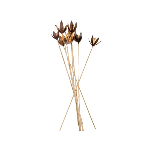 WILD LILLY - NA PATYKU.jpg