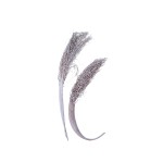PALM JHAT / KHAJUR JHAR - WHITE WASHED