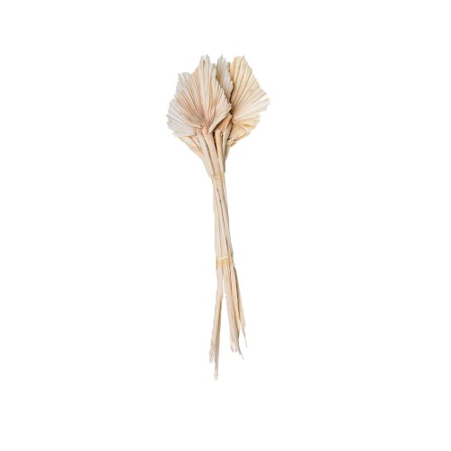 PALM SPEAR - WYBIELANY.jpg