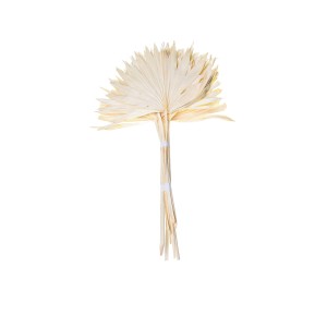 PALM SUN SPEAR BLD