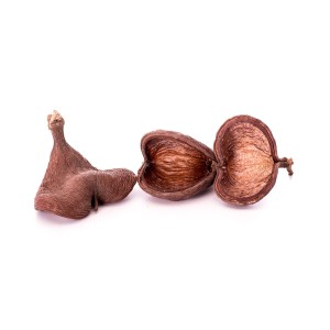 BADAM