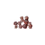 PUBESCENS