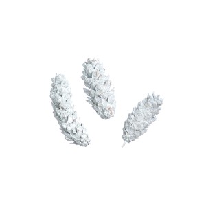 STROBUS WHITE WASHED 10cm - 15cm