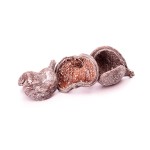BADAM SNOW TIP
