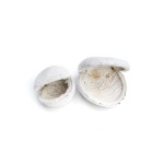 BADAM FLOCK WHITE