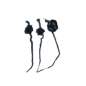 COCO CAP BLACK
