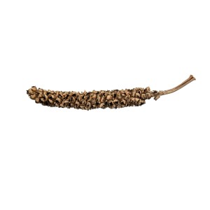 CACHO COCO